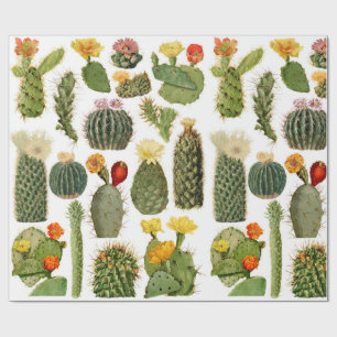 Trendiges Vintage-Kaktusmuster Geschenkpapier