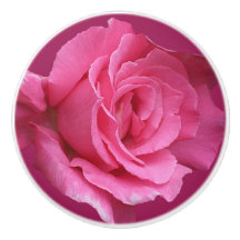 Trendrosa Rosa Blütenrose Moderne boho schön