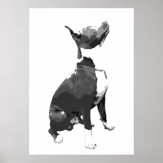 Trendschwarz-weißer Pit Bull Hund Poster (Vorne)