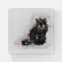 Trendy Black Cat Not leidendes Foto