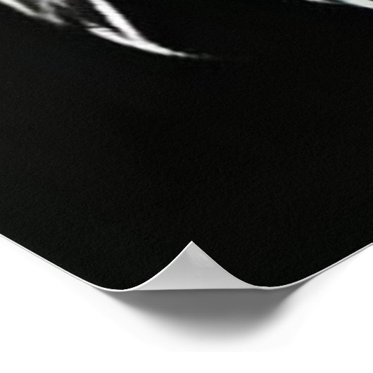 Trendy Black & White Eagle Poster (Ecke)