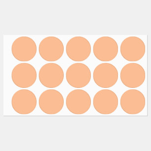 Trendy Color Peach Fuzz Solid Color elegant Etiketten