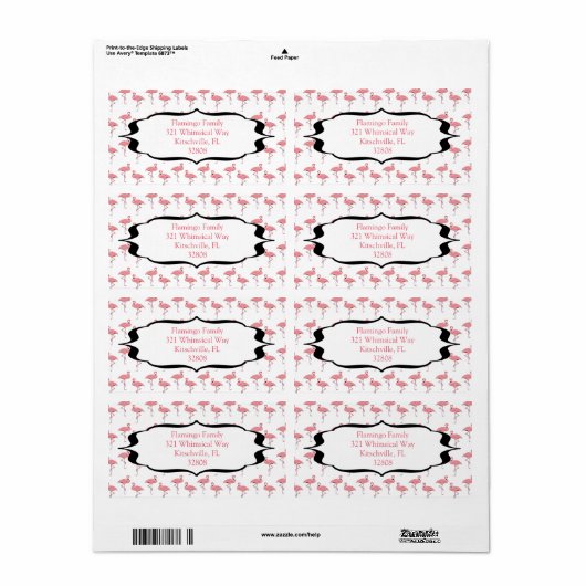 Trendy Flamingo Pattern (Vorne)