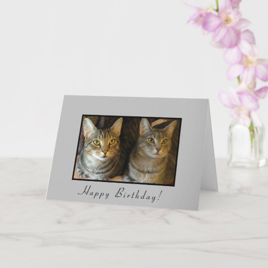 Trendy Happy Birthday Cats Karte (Orchidee)