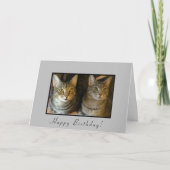 Trendy Happy Birthday Cats Karte (Vorderseite)