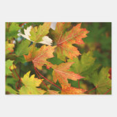 Trendy Herbst Background Set 3 Geschenkpapier Set (Vorderseite 3)