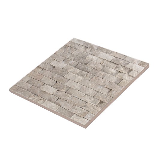 Trendy Imitats 3D Stone Brick Mosaik Muster Fliese (Seite)