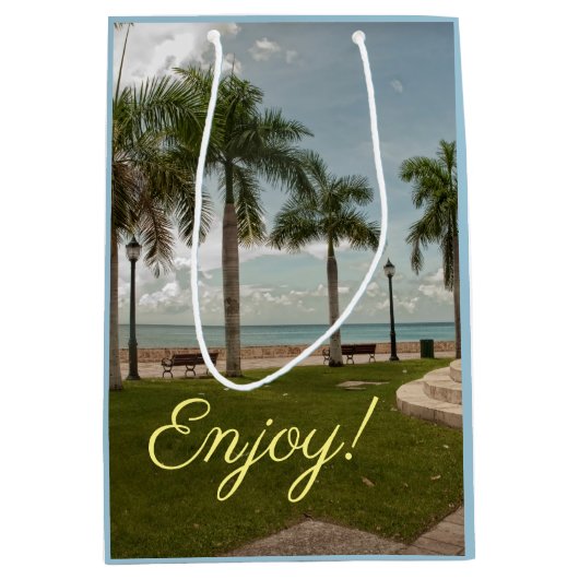 Trendy Jungfrau Islands Tropical Palm Trees Mittlere Geschenktüte (Vorderseite)