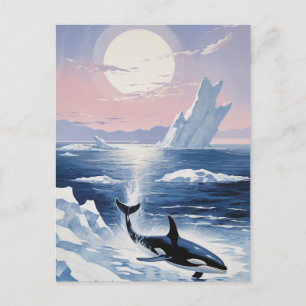 Trendy Killer Whale Orca Alaska Einladungspostkarte