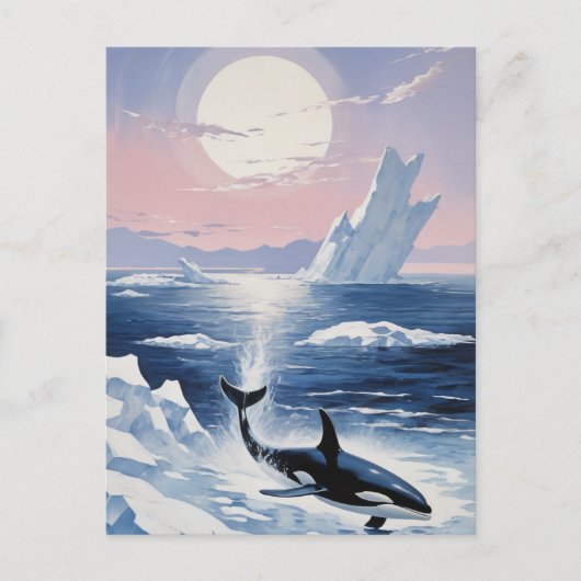 Trendy Killer Whale Orca Alaska Einladungspostkarte (Vorderseite)