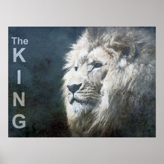 Trendy Lion Template Nature Animal The King Foto Poster (Vorne)