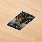 Trendy Modern Script & Arch 1 Photo Christmas Card Acryleinladungen (Ablage )