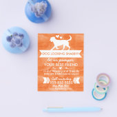 Trendy Orange Dog Grooming Flyer - personalisierba (Einzeln)