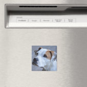 Trendy Personalisiert Pet Foto Magnet (In Situ (Geschirrspüler))