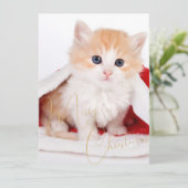 Trendy Pet Lovers Frohe Weihnachten (Stehend Vorderseite)
