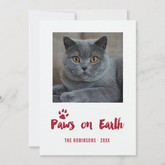 Trendy Pet Weihnachts-Foto Feiertagskarte (Vorderseite)