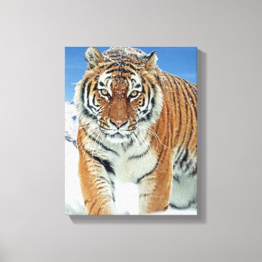 Trendy Tiger Snow Mountains Winterlandschaft Foto Leinwanddruck (Vorderseite)