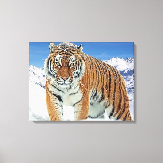 Trendy Tiger Snow Mountains Winterlandschaft Foto Leinwanddruck (Vorderseite)