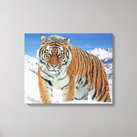 Trendy Tiger Winter Nature Foto Snow Mountains Leinwanddruck (Vorderseite)