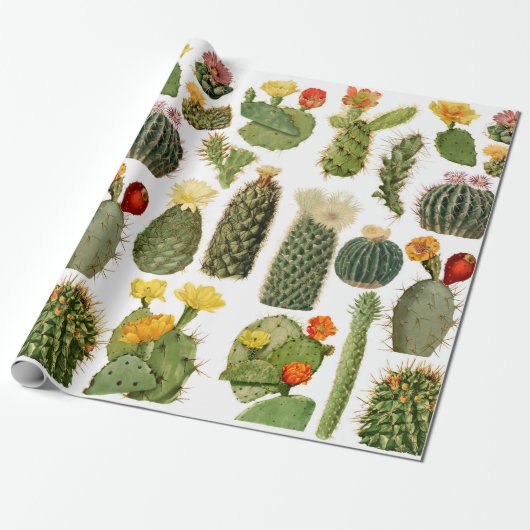 Trendy Vintag Cactus Pattern Geschenkpapier (Ungerollt)