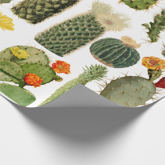 Trendy Vintag Cactus Pattern Geschenkpapier (Ecke)