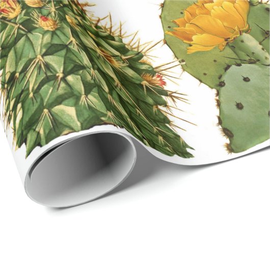 Trendy Vintag Cactus Pattern Geschenkpapier (Rolleneckpunkt)