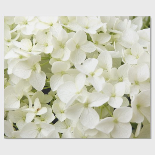 Trendy White Hydrangea Floral Geschenkpapier (Flach)