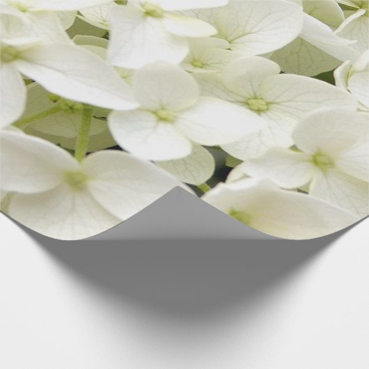 Trendy White Hydrangea Floral Geschenkpapier (Ecke)