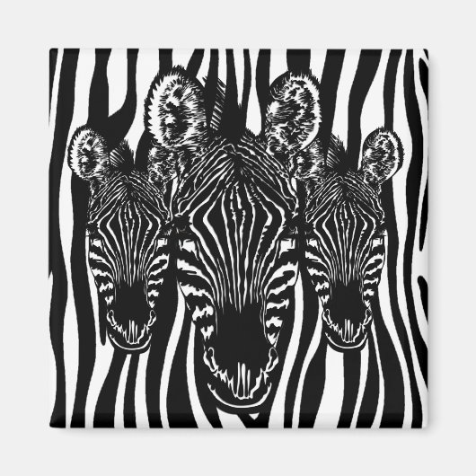 Trendy Zebra Herd auf Zebra Print Magnet (Vorne)