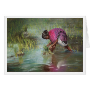 Trennen der Reis-Bündel