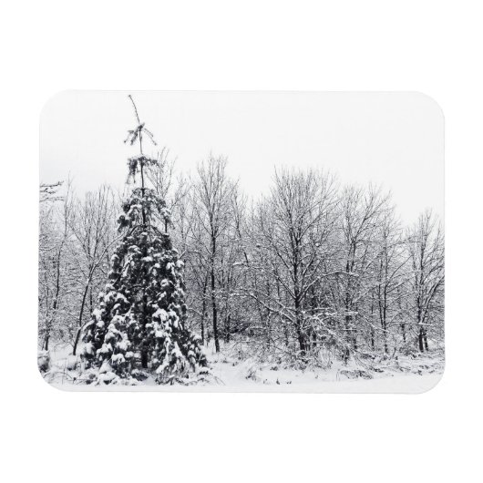 Trennung mit Sicherheit Magnet (Horizontal)