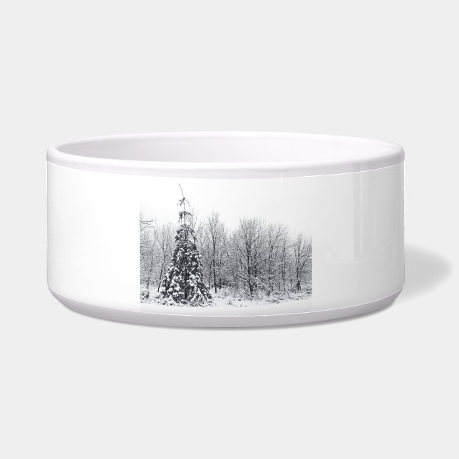 Trennung mit Sicherheit Napf (Vorderseite)