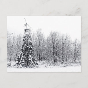 Trennung mit Sicherheit Postkarte