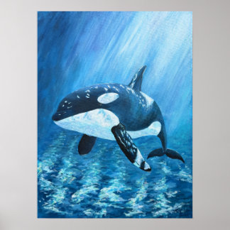 Trent Orca Killerwal-Druck ALLE GRÖßEN Poster