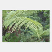 Treny Fresh Fern Background Set 3 Geschenkpapier Set (Vorderseite 3)