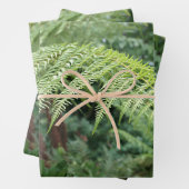 Treny Fresh Fern Background Set 3 Geschenkpapier Set (Beispiel)