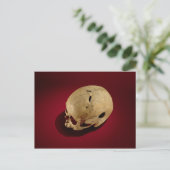 Trepanned Skull Postkarte (Stehend Vorderseite)