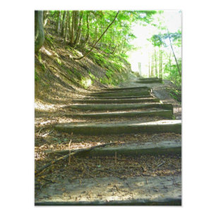 Treppe bis zum Wald Fotodruck