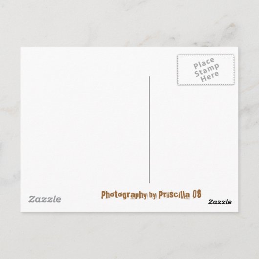 Treppe, nach Himmel Postkarte (Rückseite)