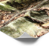 Treppe zu Wäldern Poster (Ecke)