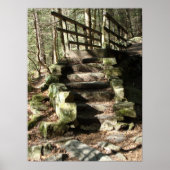 Treppe zu Wäldern Poster (Vorne)