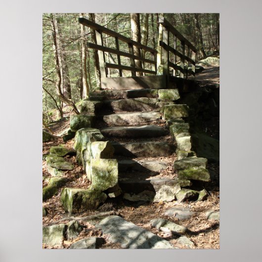 Treppe zu Wäldern Poster (Vorne)