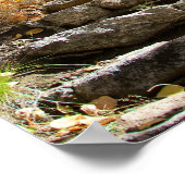 "Treppe zum Herbst", Quaking Aspen, Portrait Poster (Ecke)