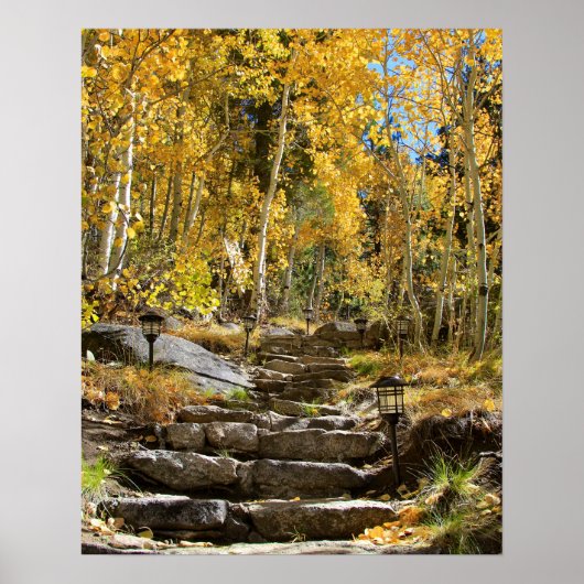 "Treppe zum Herbst", Quaking Aspen, Portrait Poster (Vorne)