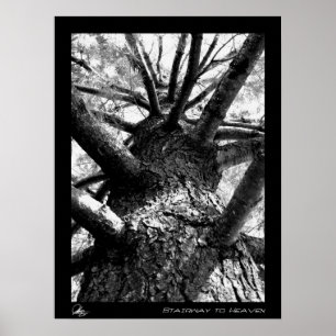 Treppe zum Himmel Poster