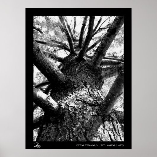 Treppe zum Himmel Poster (Vorne)
