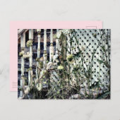 Treppen an der Front des abandonierten Hauses Köni Postkarte (Vorne/Hinten)