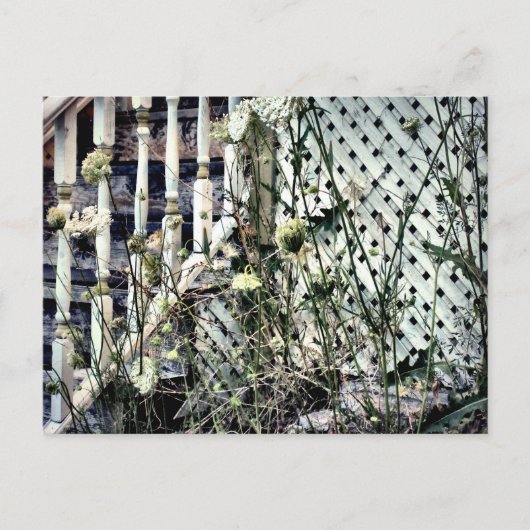 Treppen an der Front des abandonierten Hauses Köni Postkarte (Vorderseite)