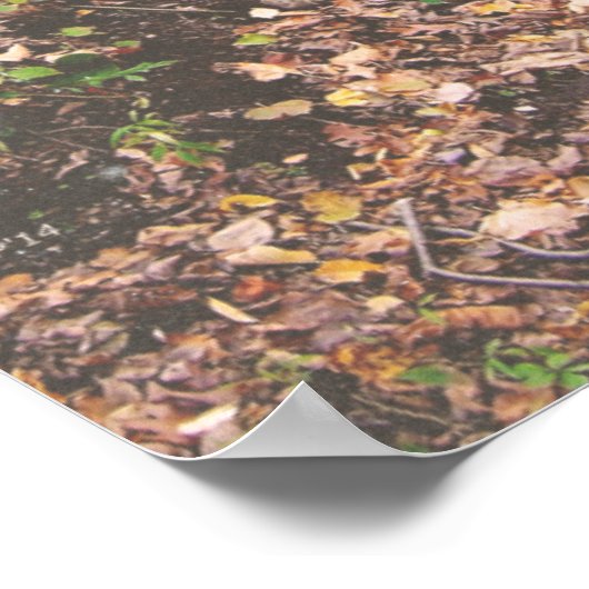 Treppen in den Wald Poster (Ecke)