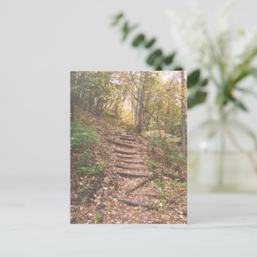 Treppen in den Wald Postkarte (Stehend Vorderseite)